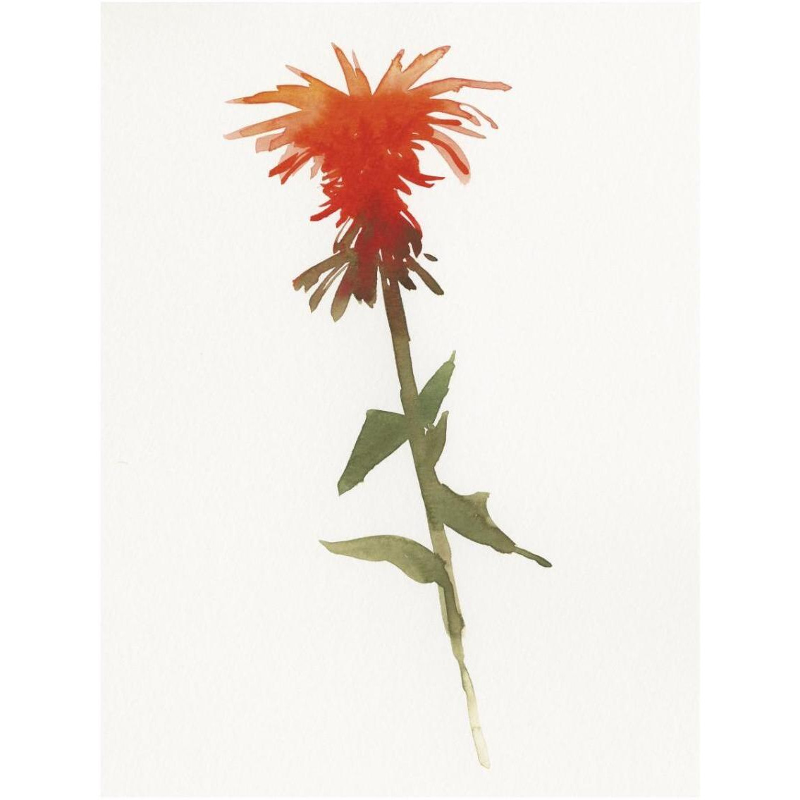 Salmon Monarda II -Paper Art-26&quotx34"