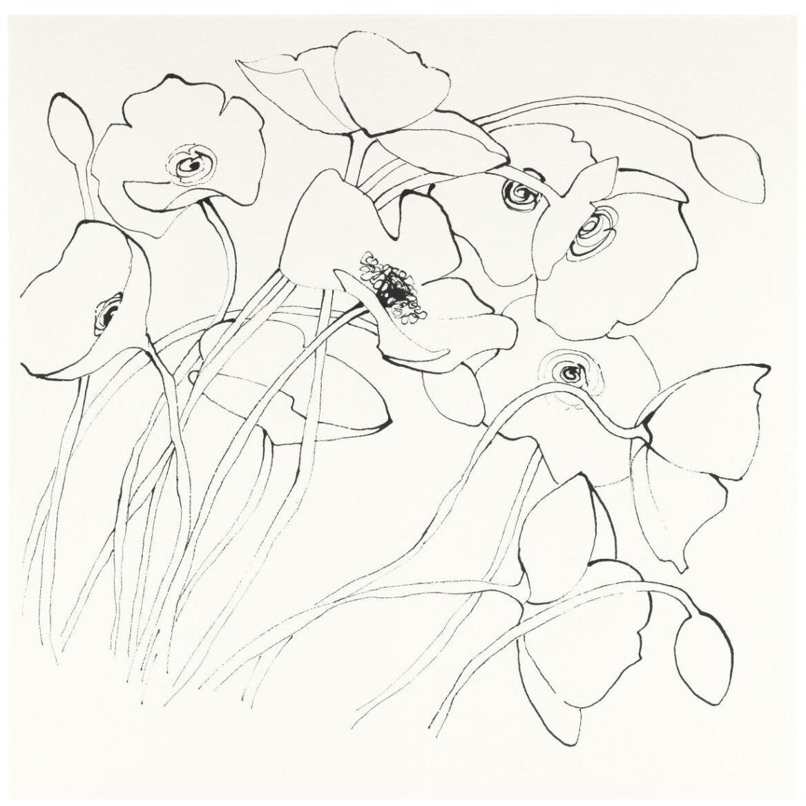 Black Line Poppies II -Paper Art-42&quotx42"