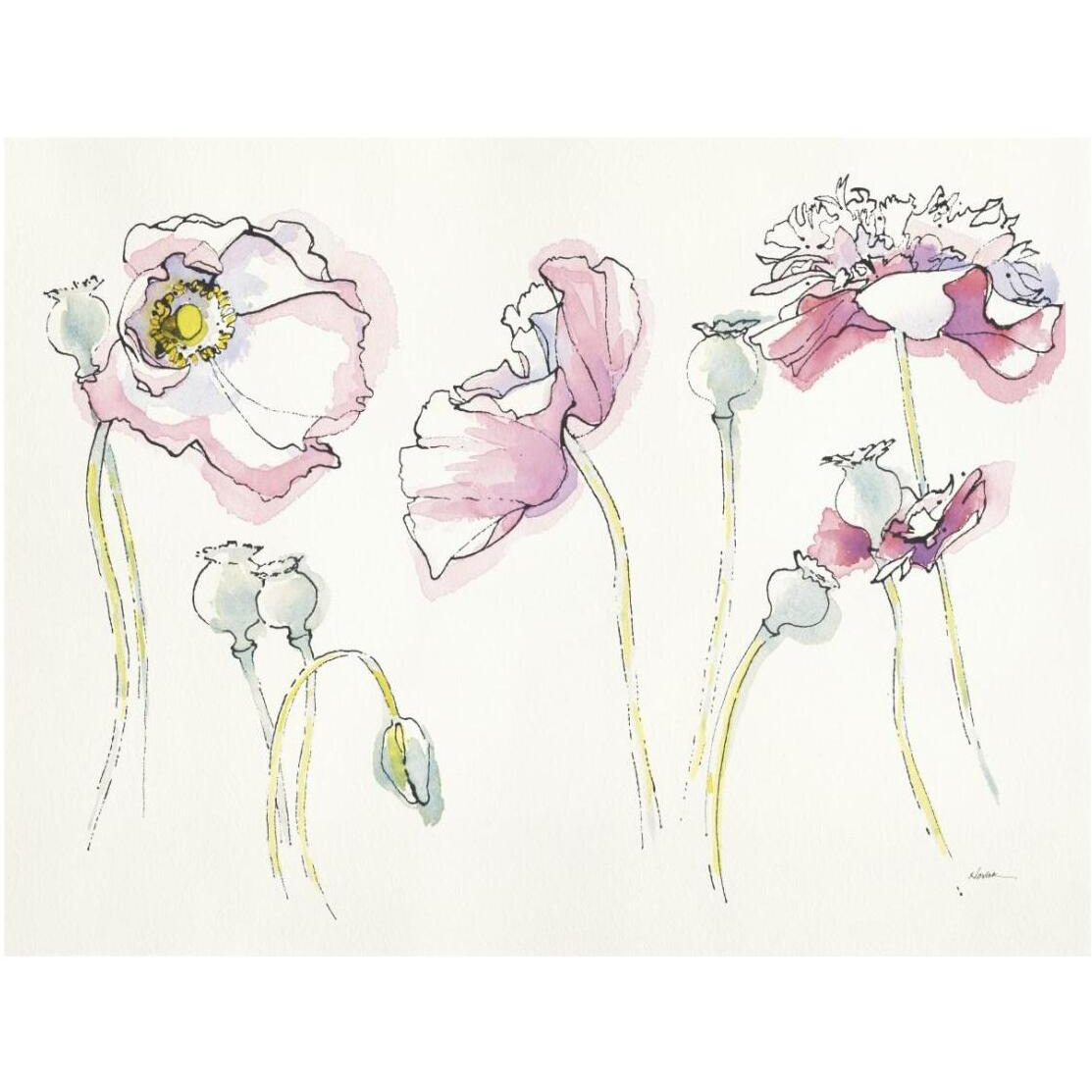 Pink Somniferums -Paper Art-26&quotx20"