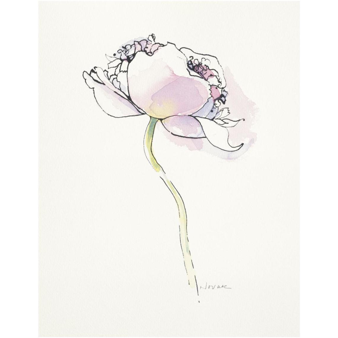 Single Pink Somniferum I -Paper Art-14&quotx18"