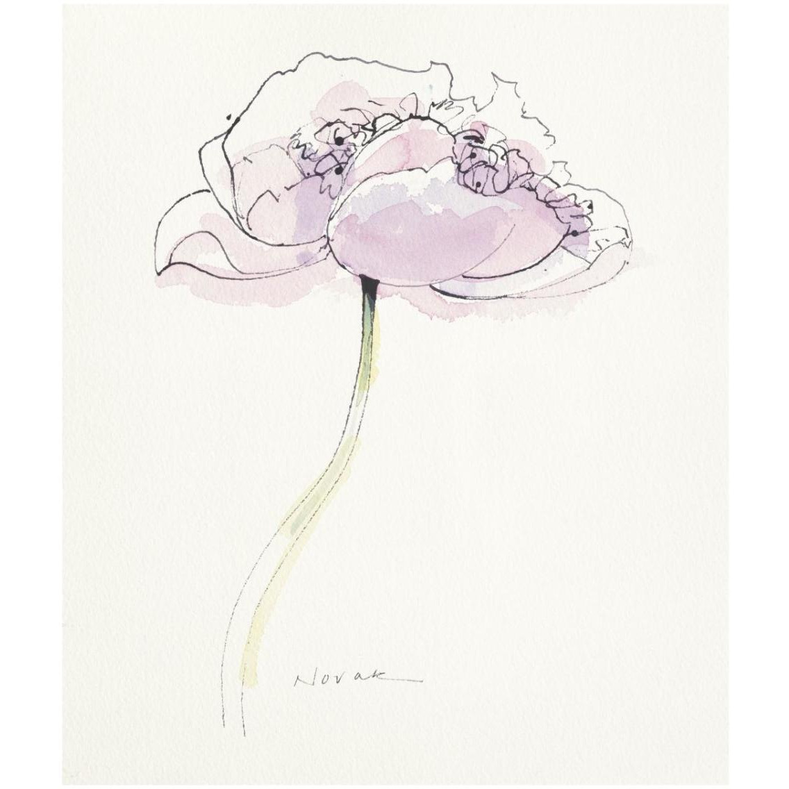 Single Pink Somniferum II -Paper Art-27.5&quotx32"
