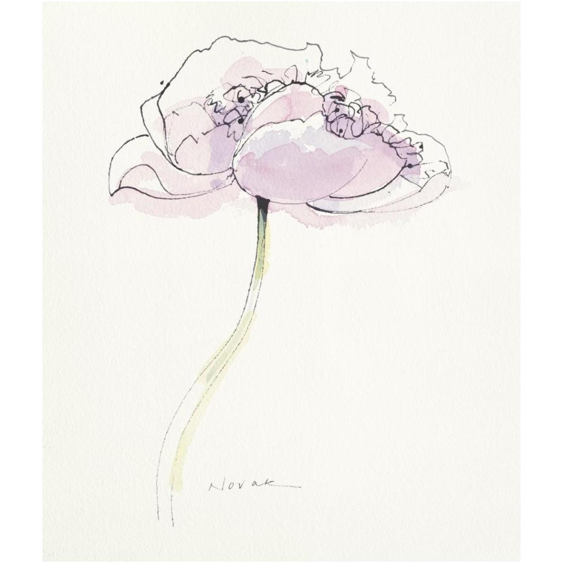 Single Pink Somniferum II -Paper Art-39.4&quotx46"