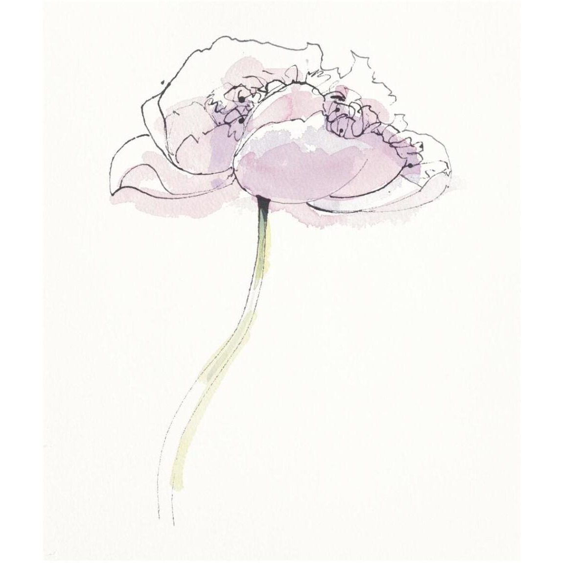 Single Pink Somniferums II on White -Paper Art-36&quotx42"