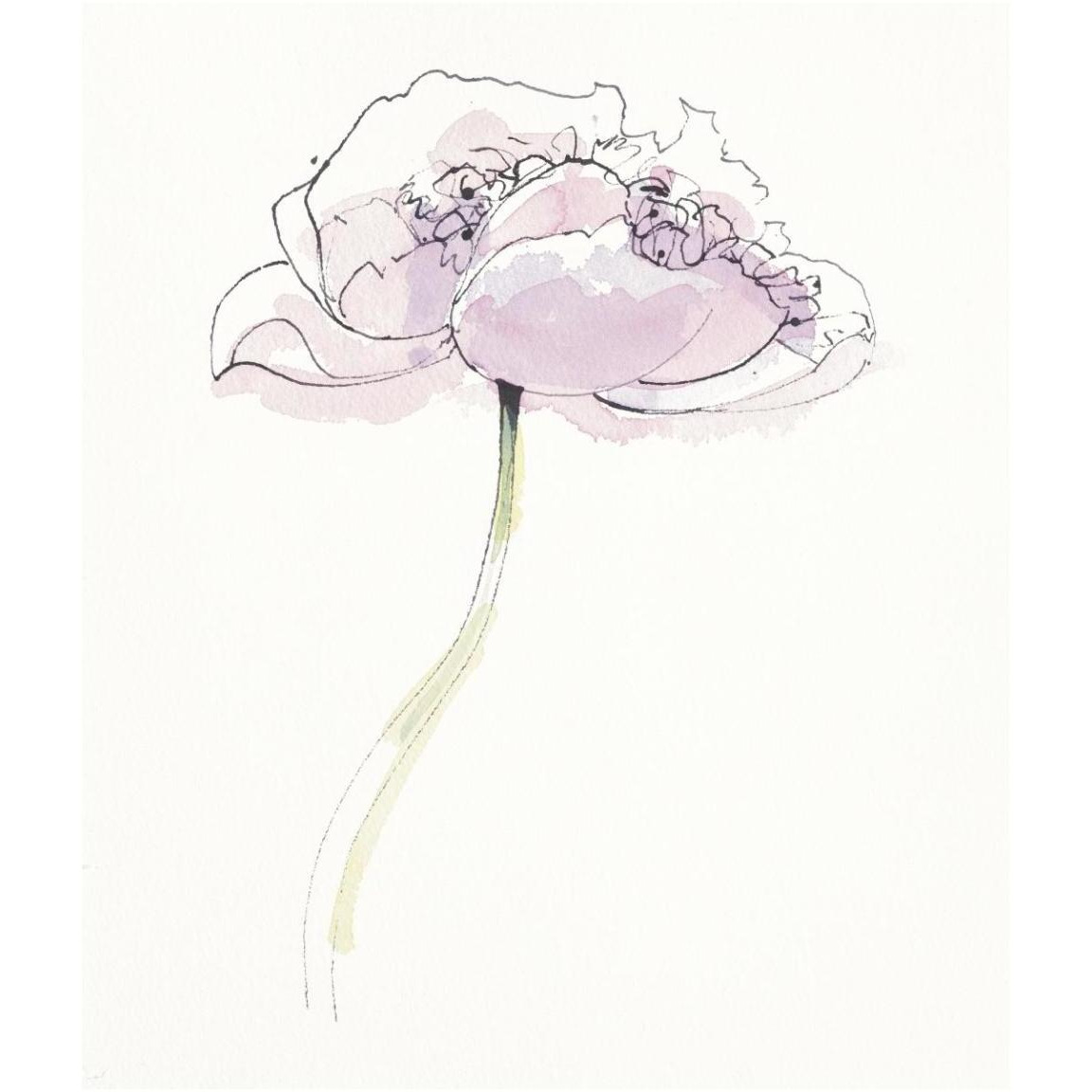 Single Pink Somniferums II on White -Paper Art-39.4&quotx46"