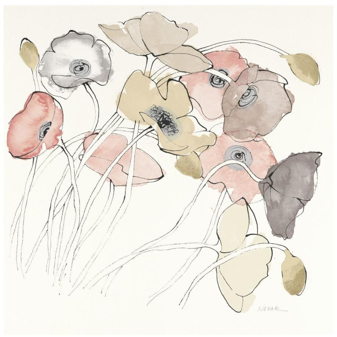 Black Line Poppies II Watercolor Neutral -Paper Art-20&quotx20"