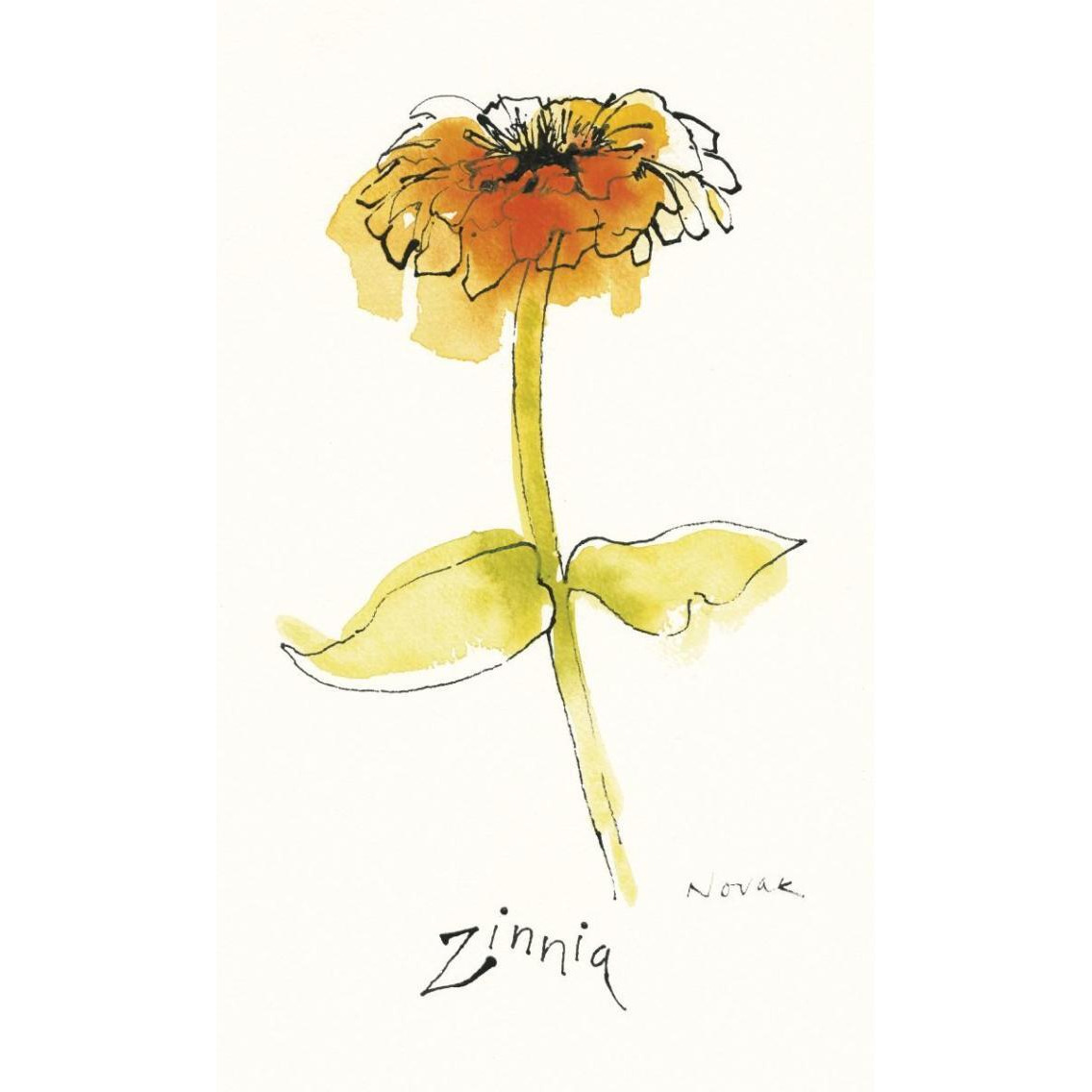 Zinnia III -Paper Art-23.6&quotx38"