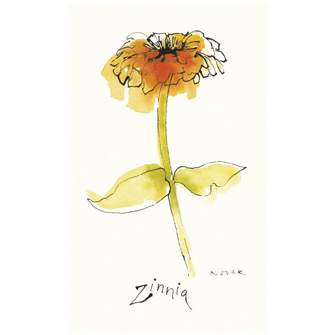 Zinnia III -Paper Art-26&quotx42"