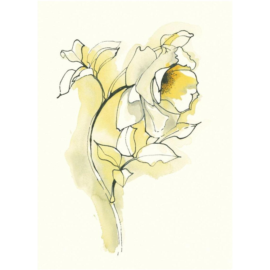 Carols Roses III -Paper Art-26&quotx34"