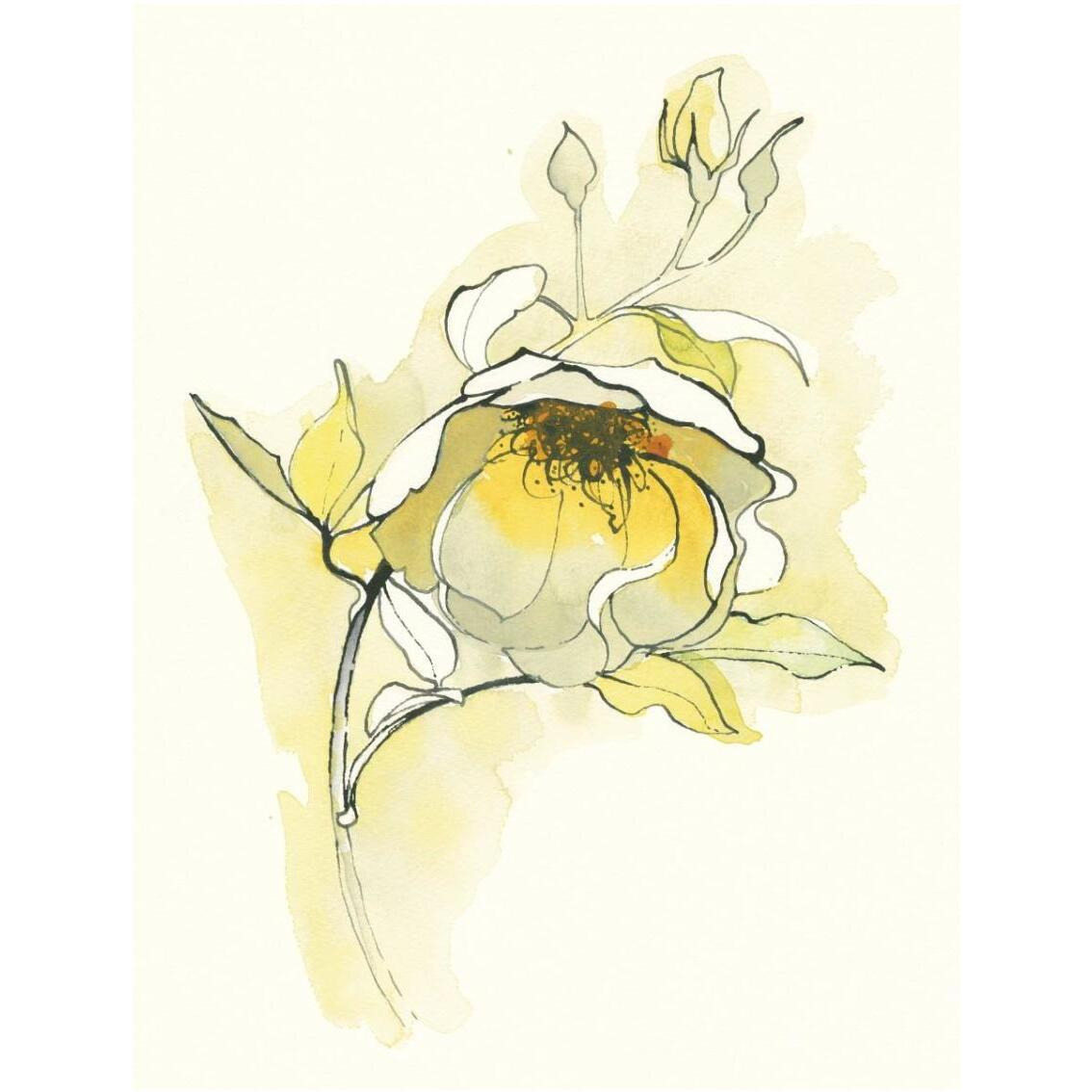 Carols Roses V -Paper Art-26&quotx34"