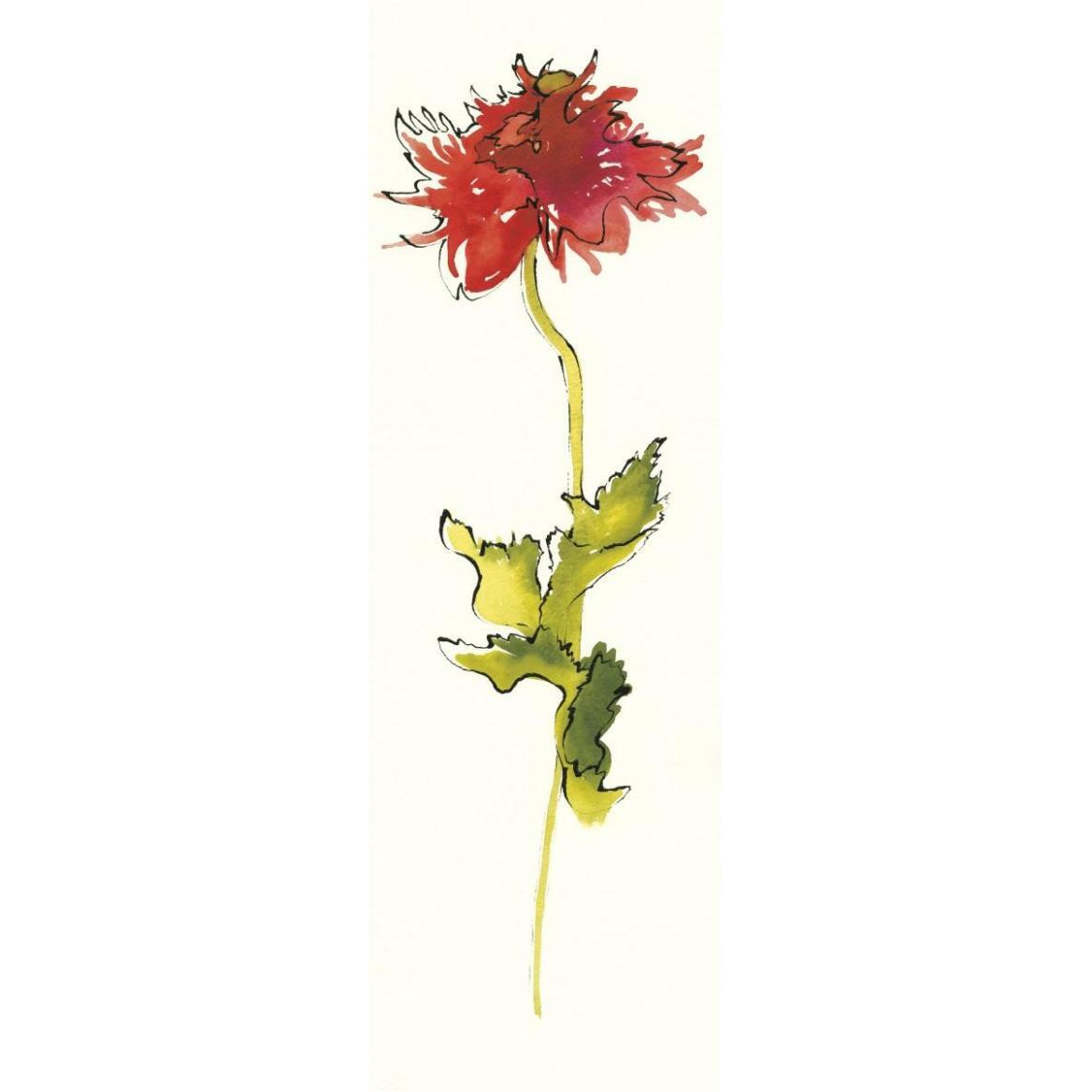 Peony Form Poppies III -Paper Art-26&quotx74"