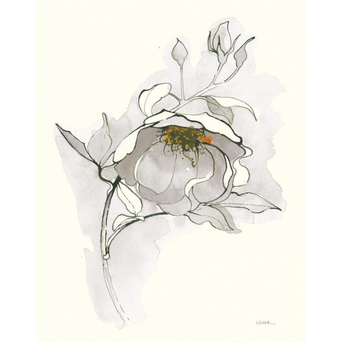 Carols Roses V Off White -Paper Art-22&quotx26"