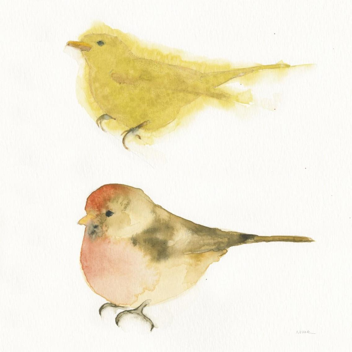 Watercolor Birds I Sq -Paper Art-38&quotx38"