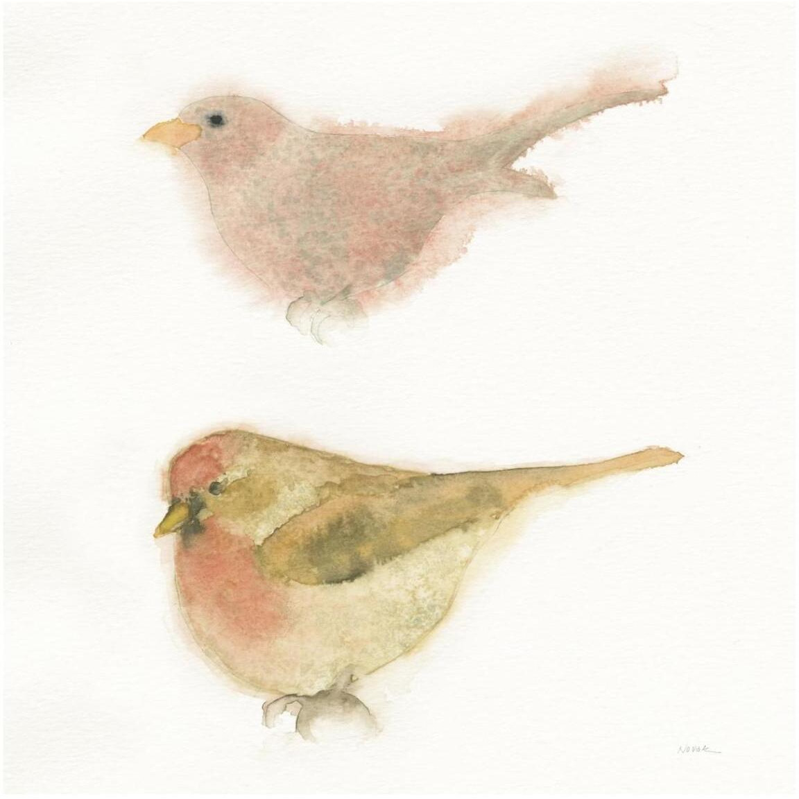 Watercolor Birds II Sq -Paper Art-42&quotx42"