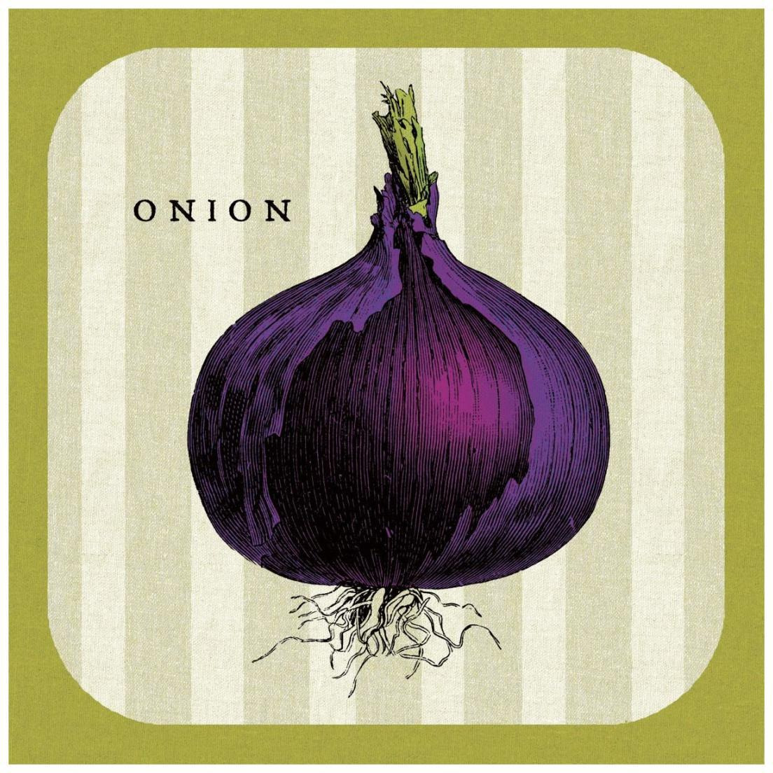 Linen Vegetable III -Paper Art-20&quotx20"