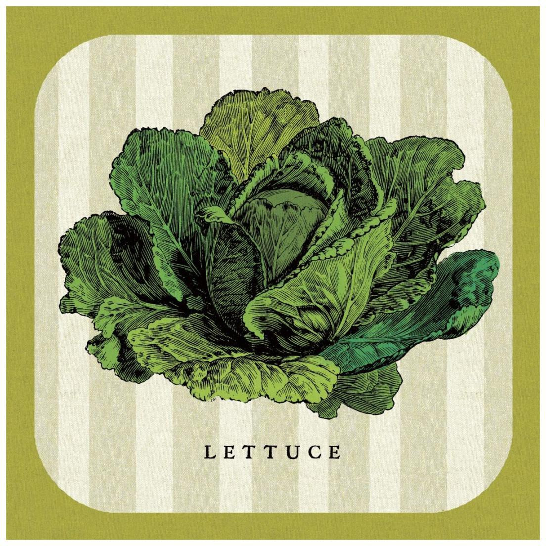 Linen Vegetable II -Paper Art-20&quotx20"
