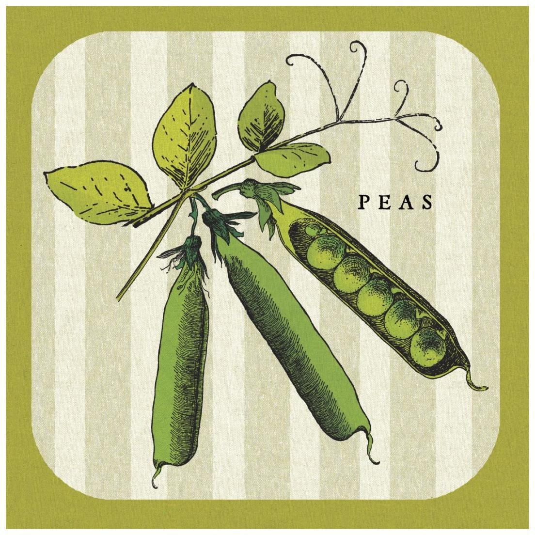 Linen Vegetable IV -Paper Art-20&quotx20"