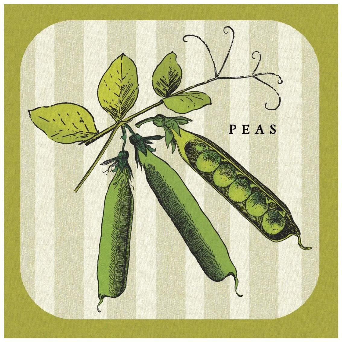 Linen Vegetable IV -Paper Art-26&quotx26"