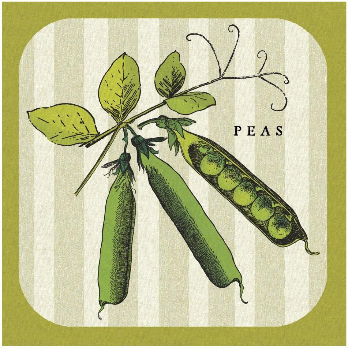Linen Vegetable IV -Paper Art-32&quotx32"