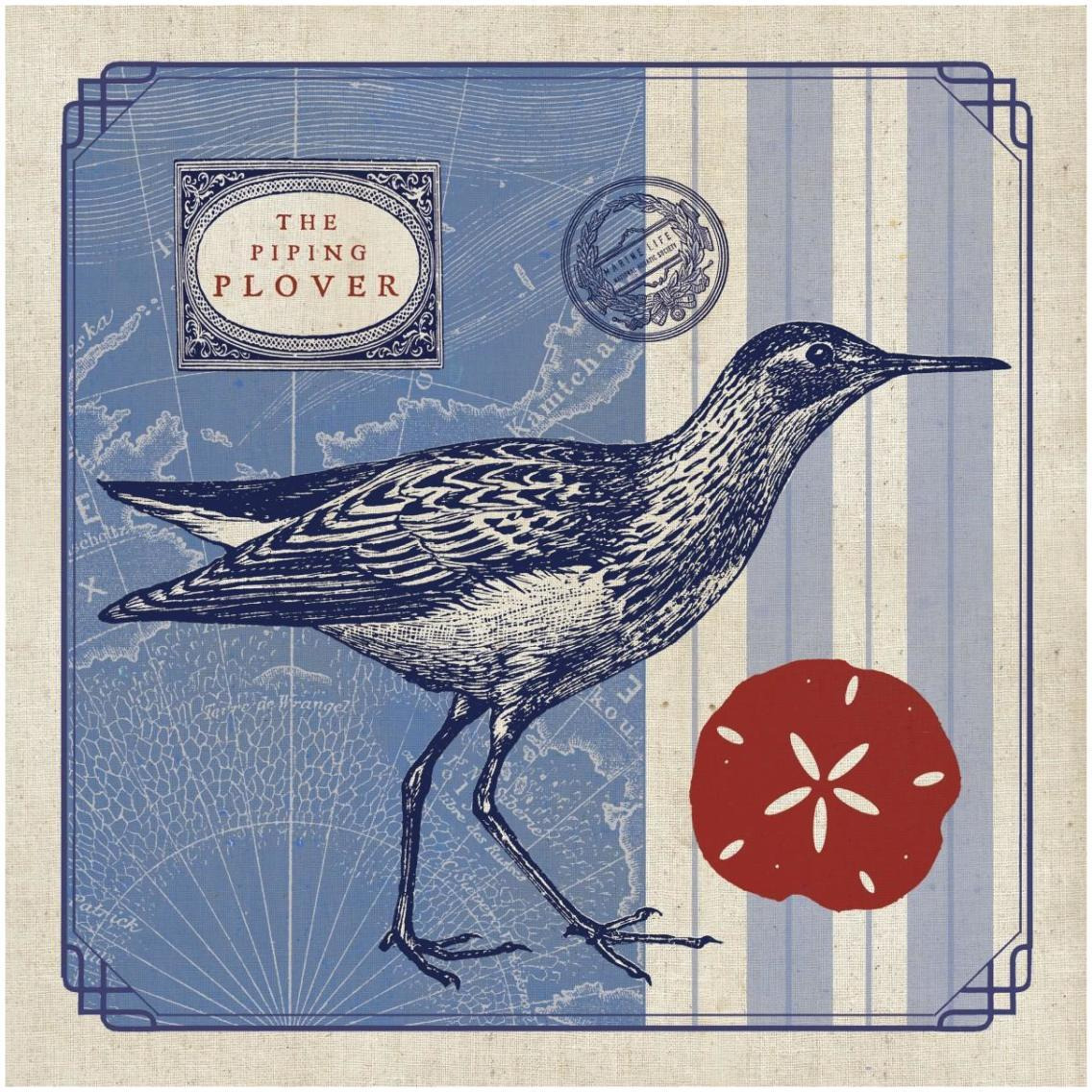 Sea Bird I -Paper Art-32&quotx32"