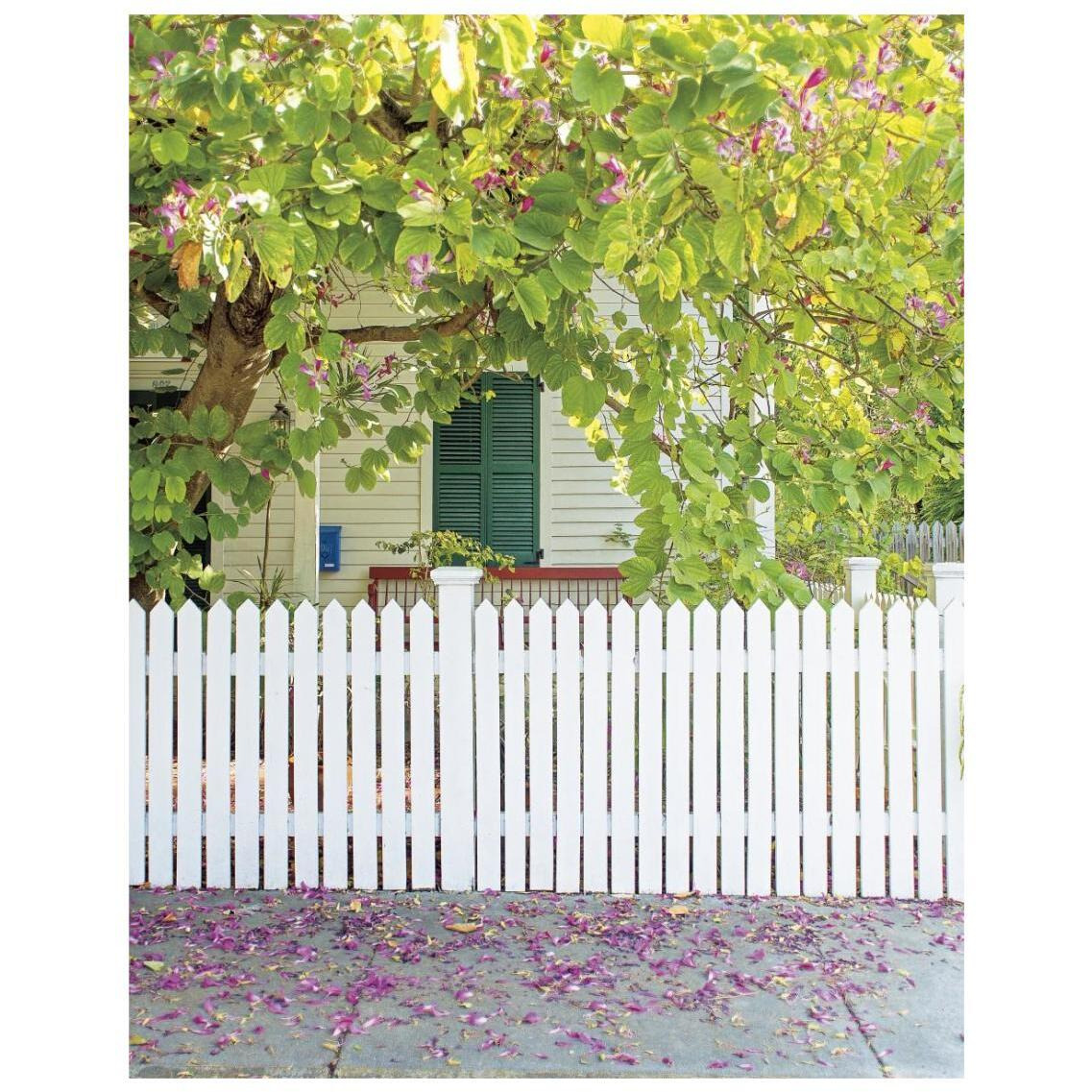 Blossom Cottage -Paper Art-22&quotx26"