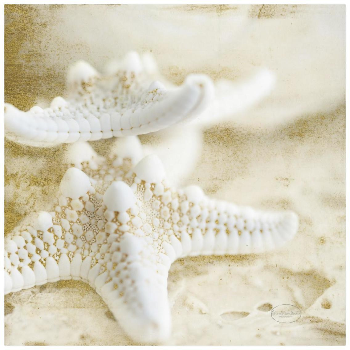 Golden Seashore Stars -Paper Art-26&quotx26"