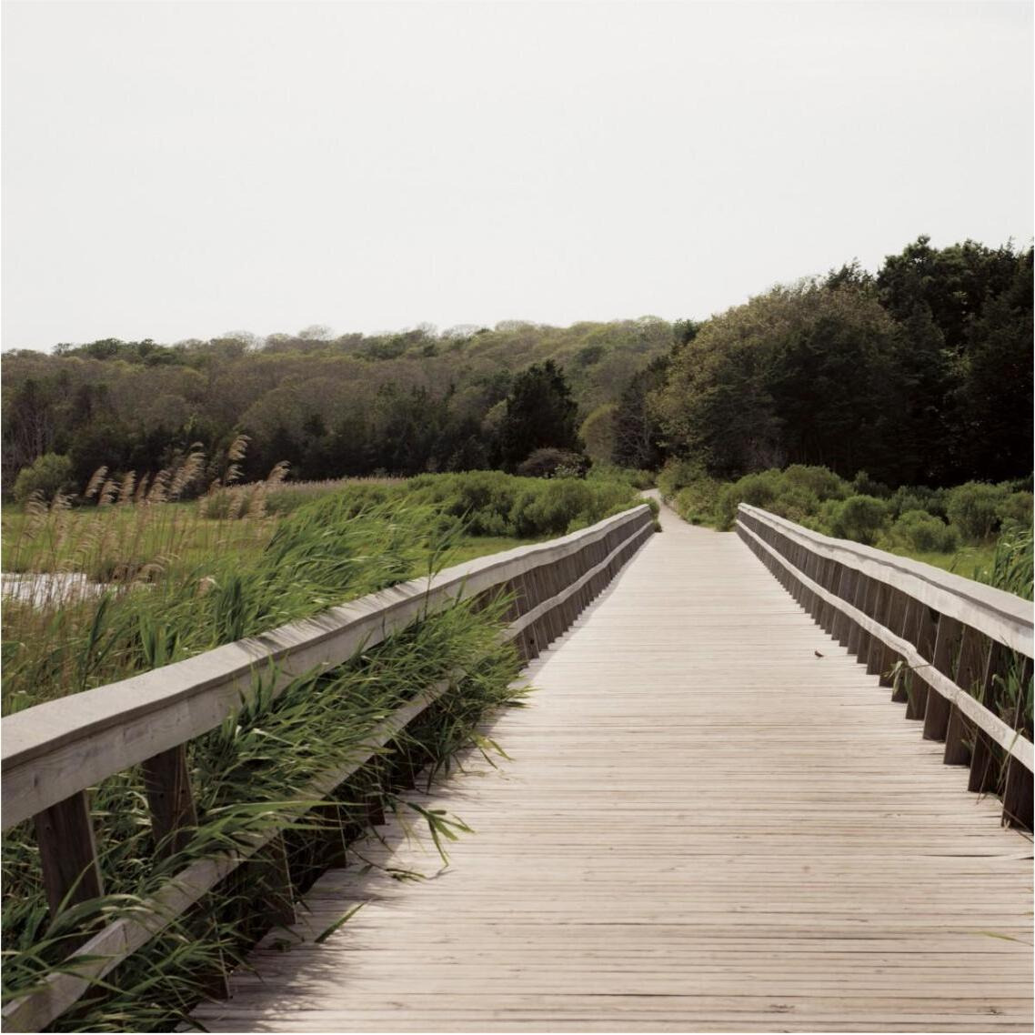 Beach Boardwalk -Paper Art-38&quotx38"