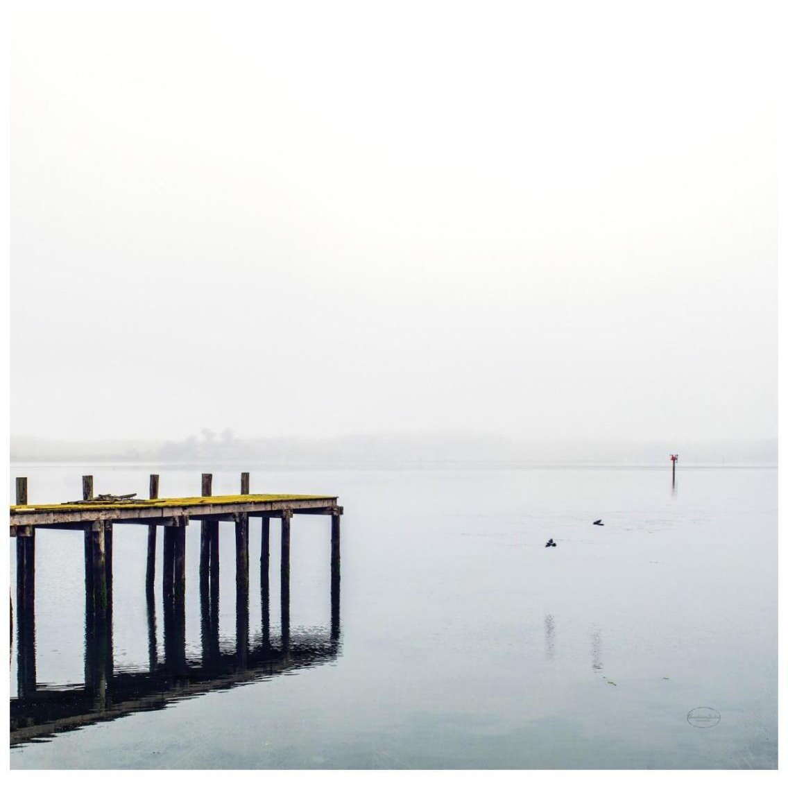 Foggy Pier -Paper Art-26&quotx26"
