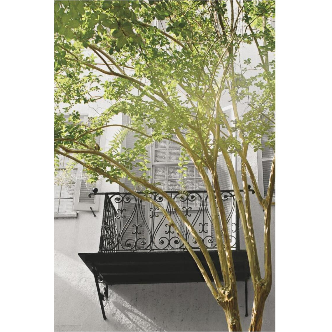 City Romance Grey -Paper Art-26&quotx38"