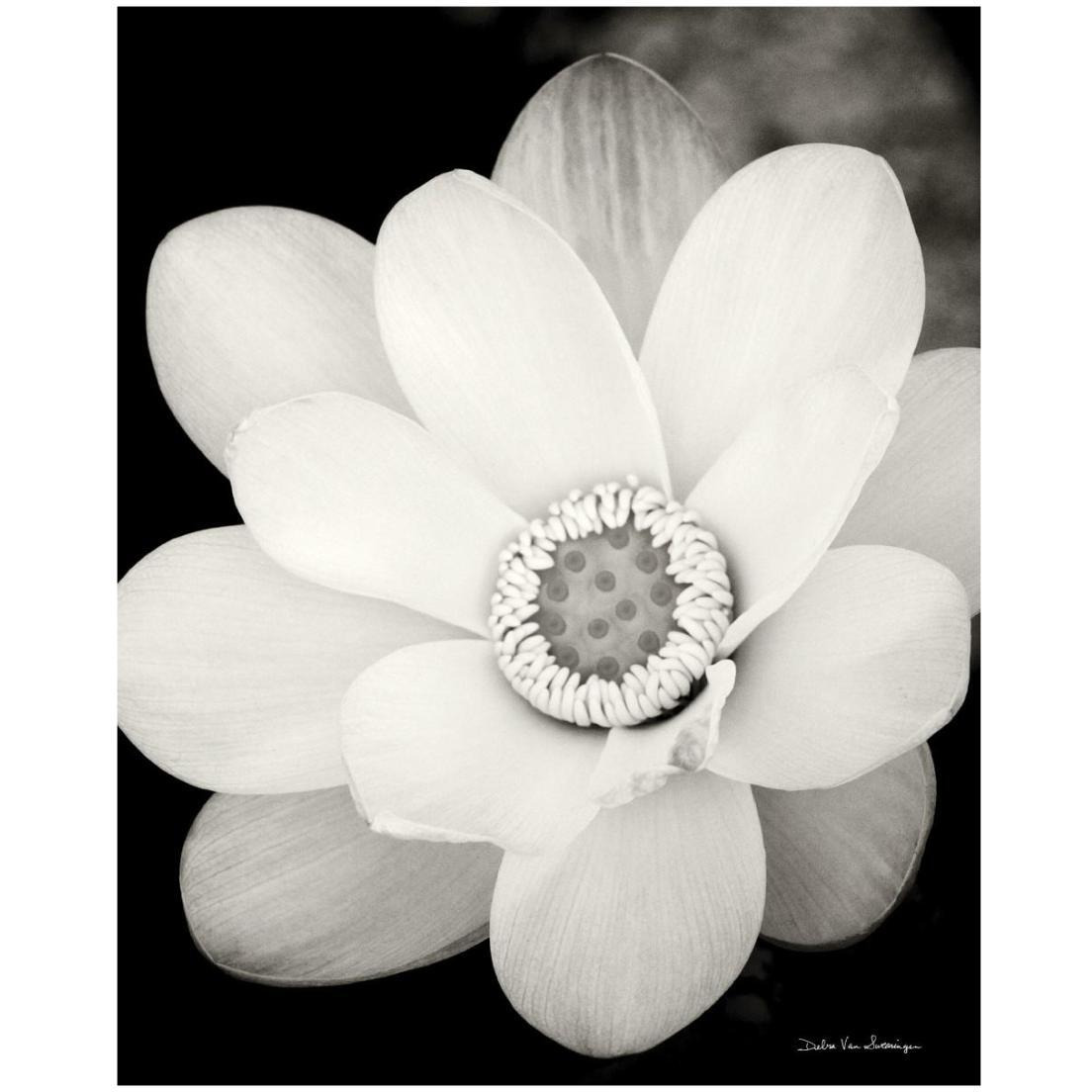 Lotus Flower III -Paper Art-18&quotx22"