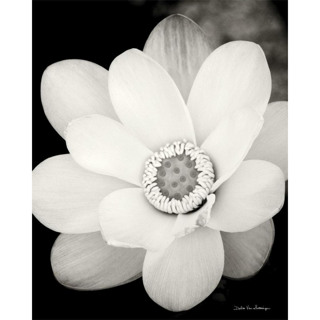 Lotus Flower III -Paper Art-24&quotx30"
