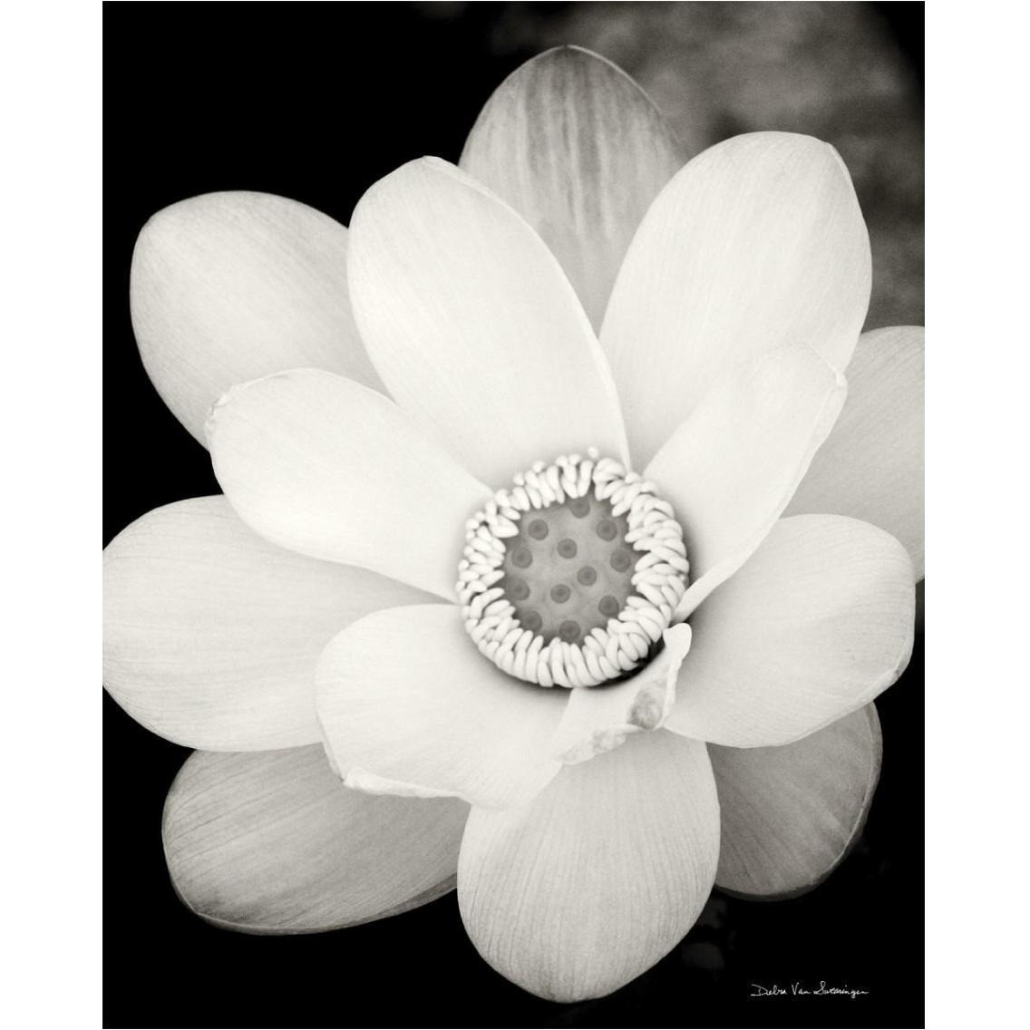 Lotus Flower III -Paper Art-30&quotx37"