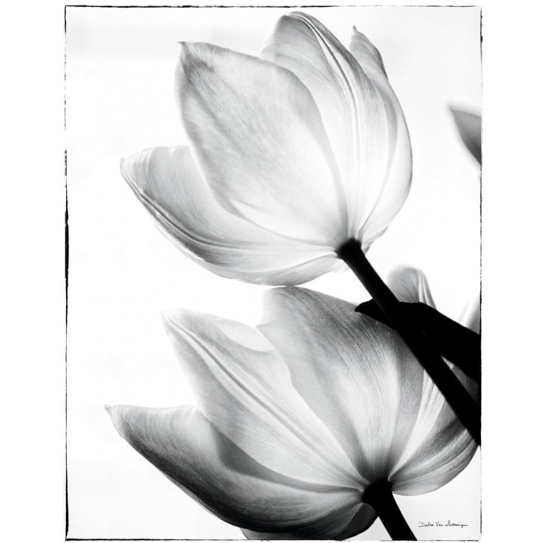 Translucent Tulips II -Paper Art-18&quotx22"