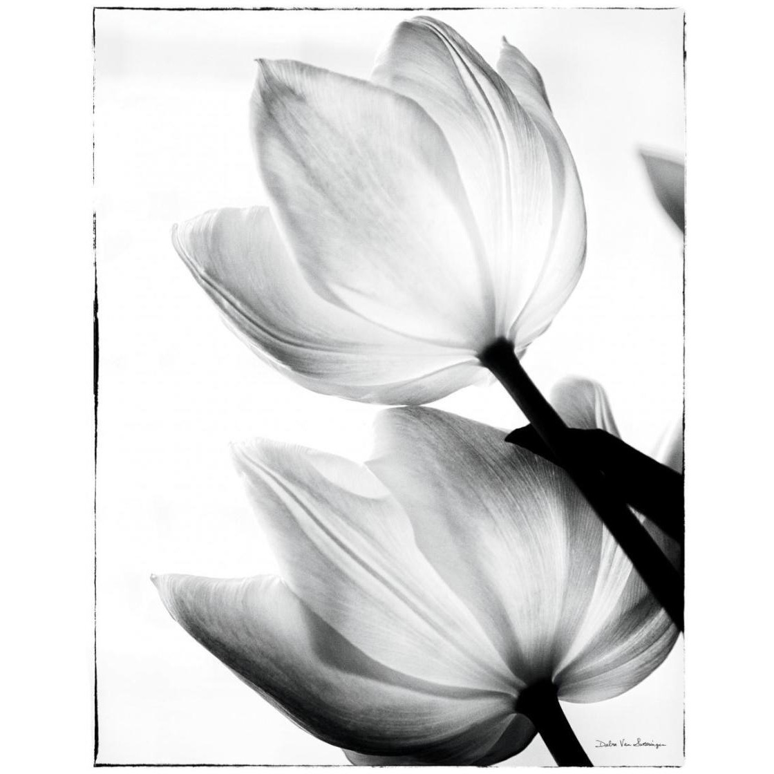 Translucent Tulips II -Paper Art-22&quotx26"