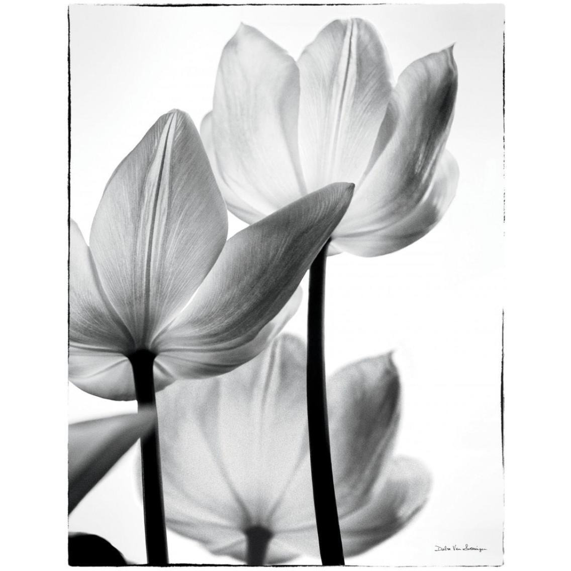 Translucent Tulips III -Paper Art-26&quotx34"