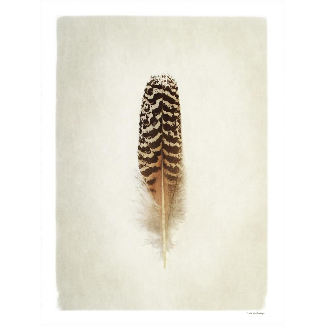 Feather I -Paper Art-14&quotx18"