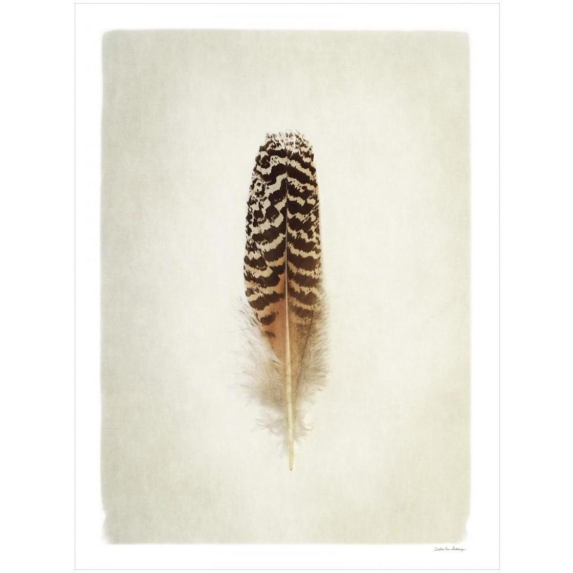 Feather I -Paper Art-20&quotx26"
