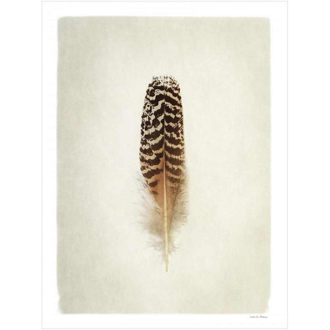 Feather I -Paper Art-26&quotx34"