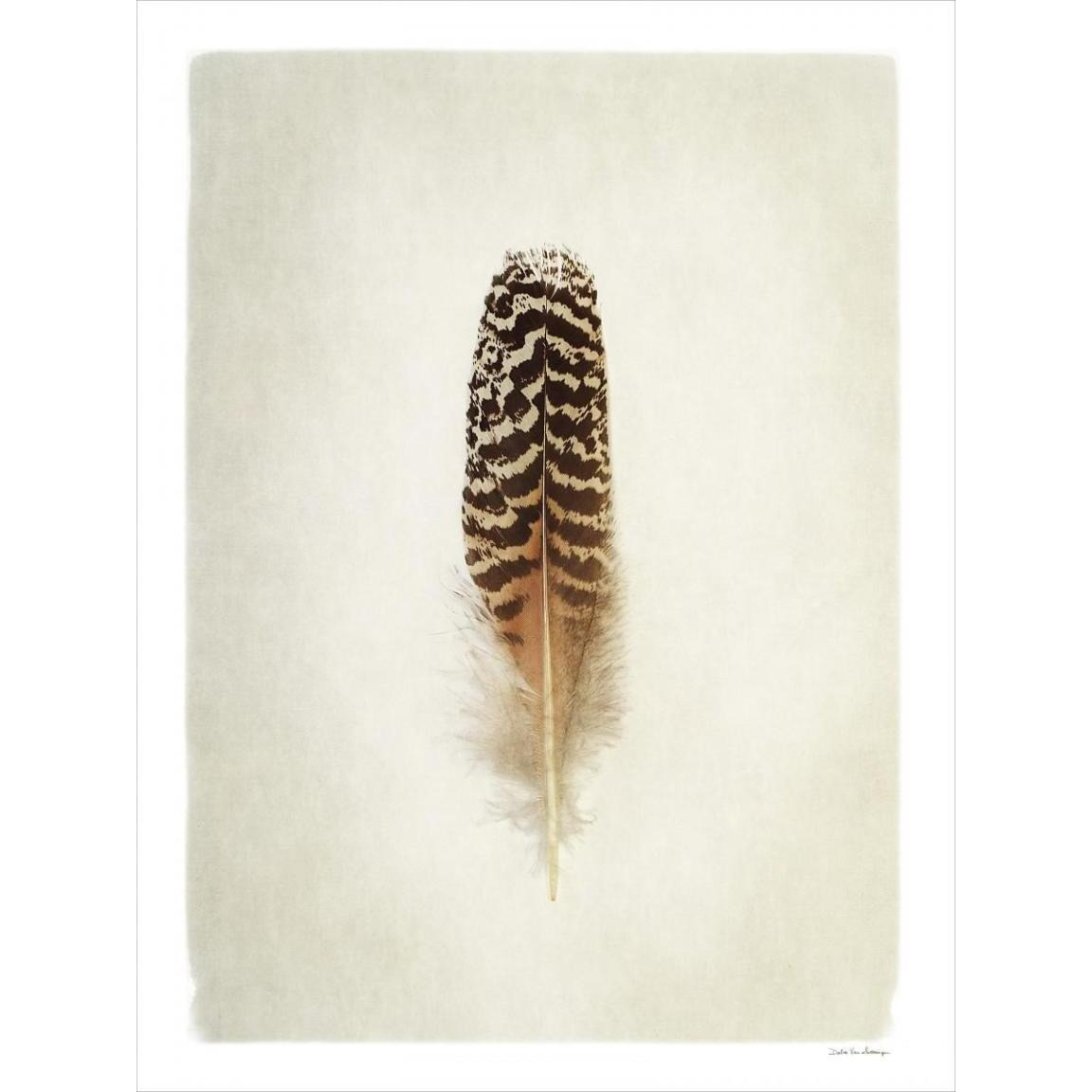 Feather I -Paper Art-38&quotx50"