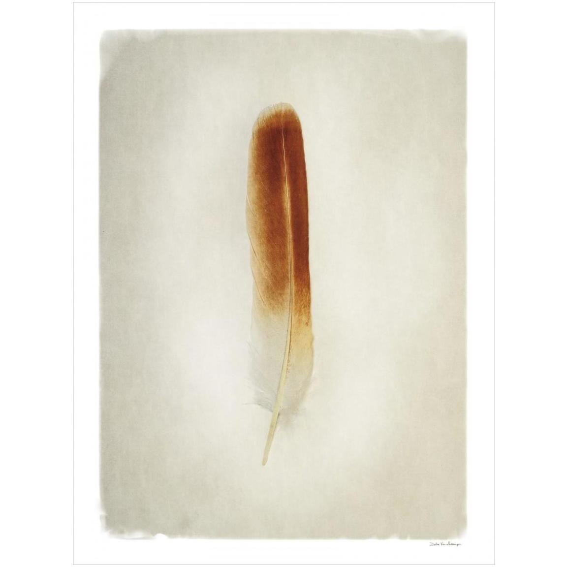 Feather II -Paper Art-32&quotx42"