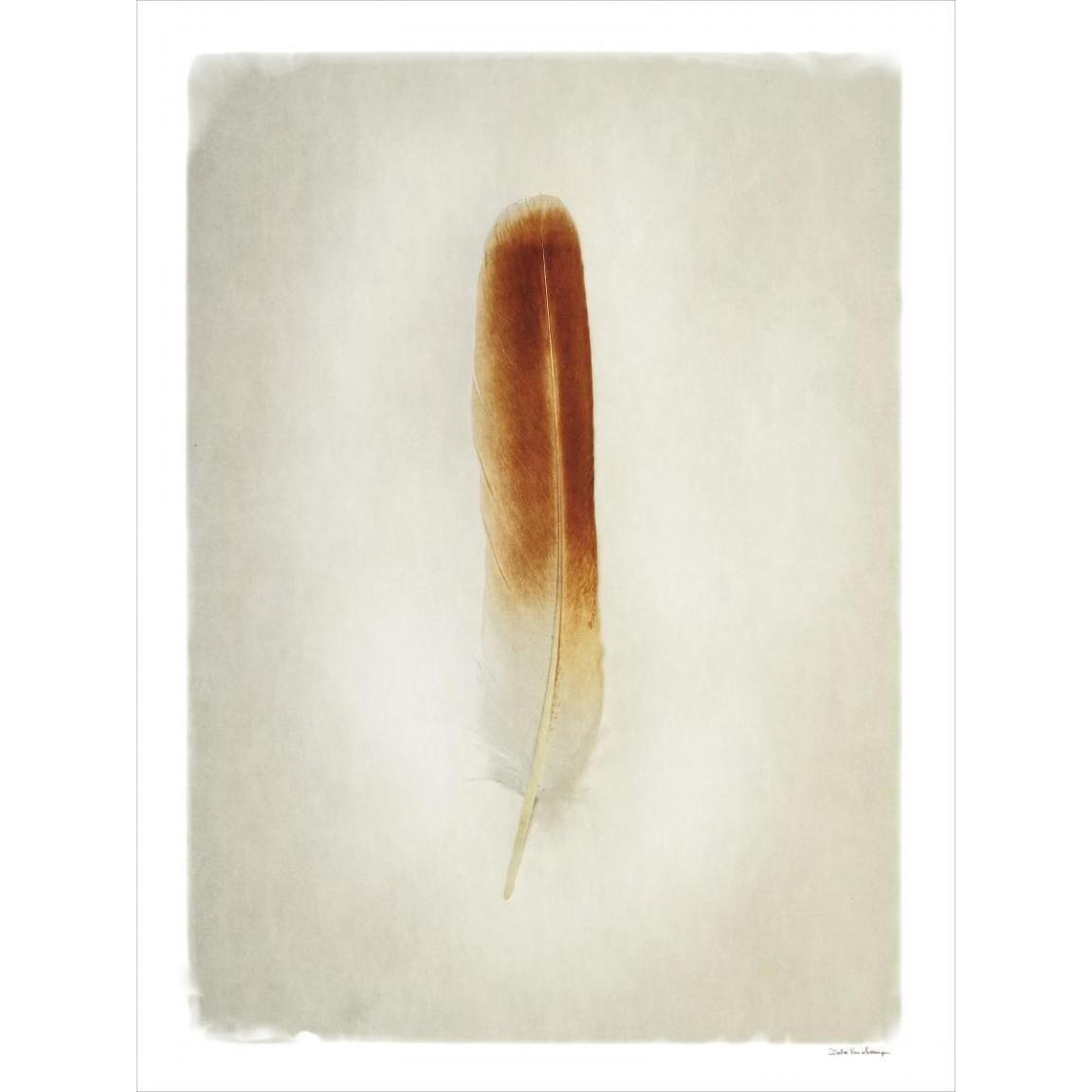 Feather II -Paper Art-38&quotx50"