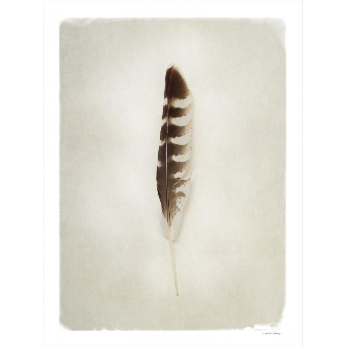 Feather IV -Paper Art-14&quotx18"