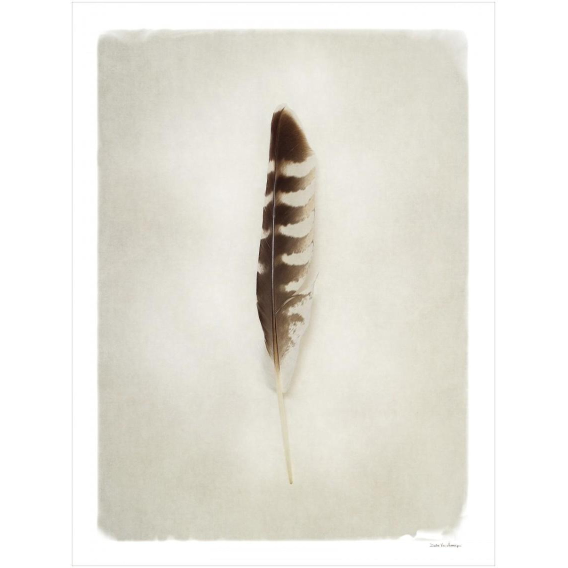 Feather IV -Paper Art-26&quotx34"