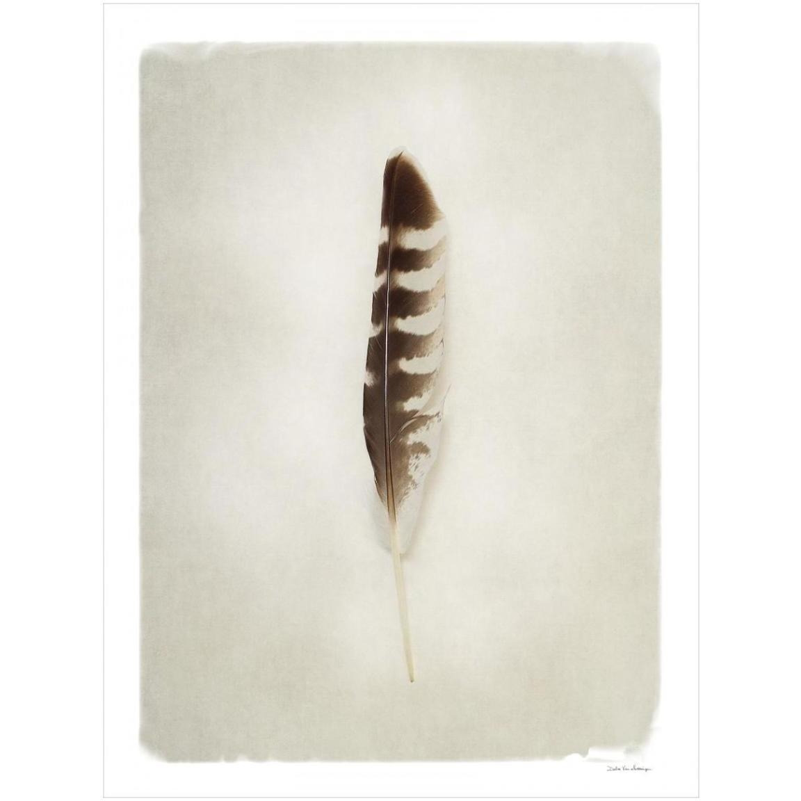 Feather IV -Paper Art-32&quotx42"