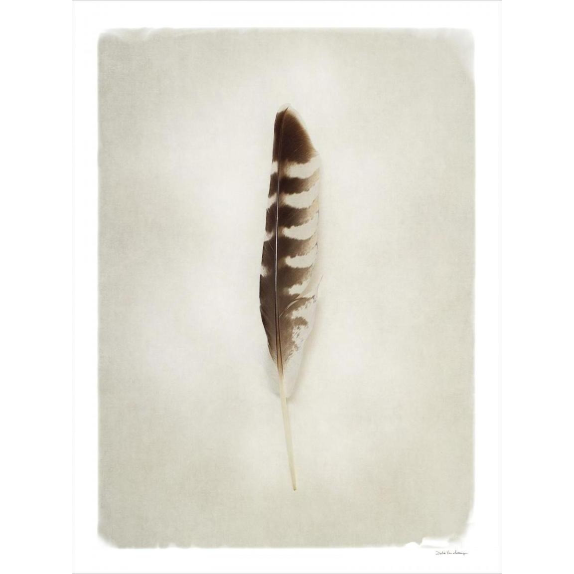 Feather IV -Paper Art-38&quotx50"