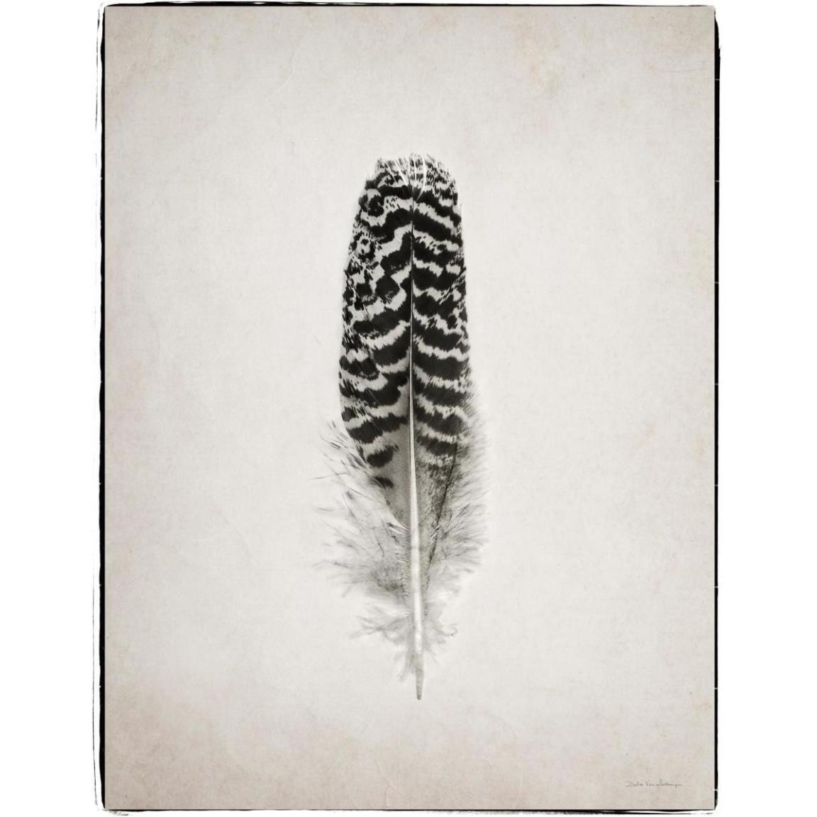 Feather I - BW -Paper Art-38&quotx50"