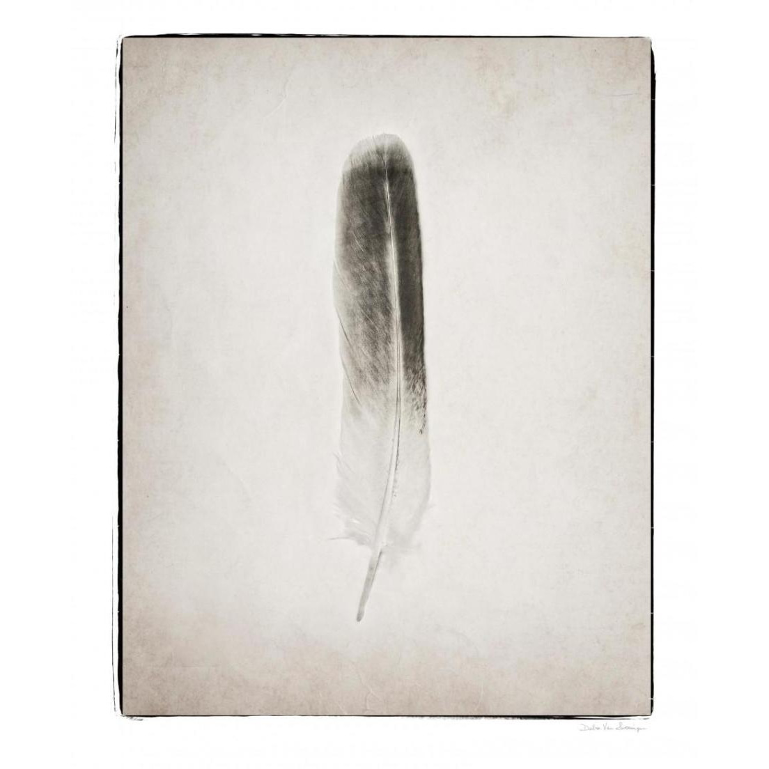 Feather II - BW -Paper Art-30&quotx37"