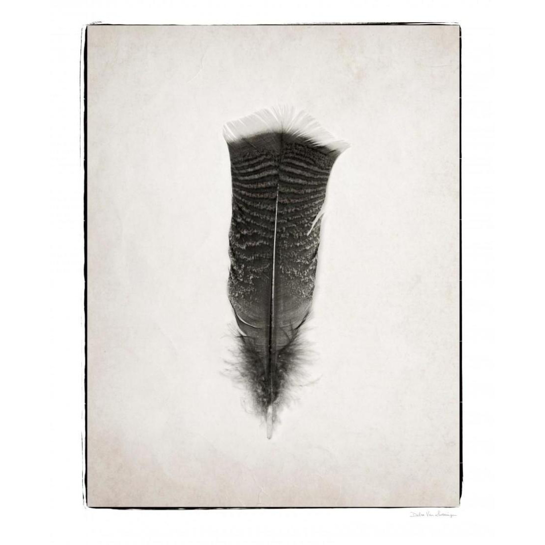 Feather III - BW -Paper Art-30&quotx37"