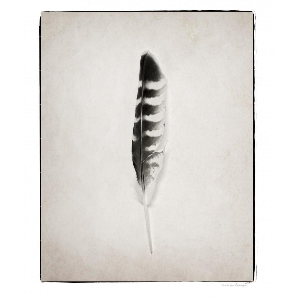 Feather IV - BW -Paper Art-22&quotx26"