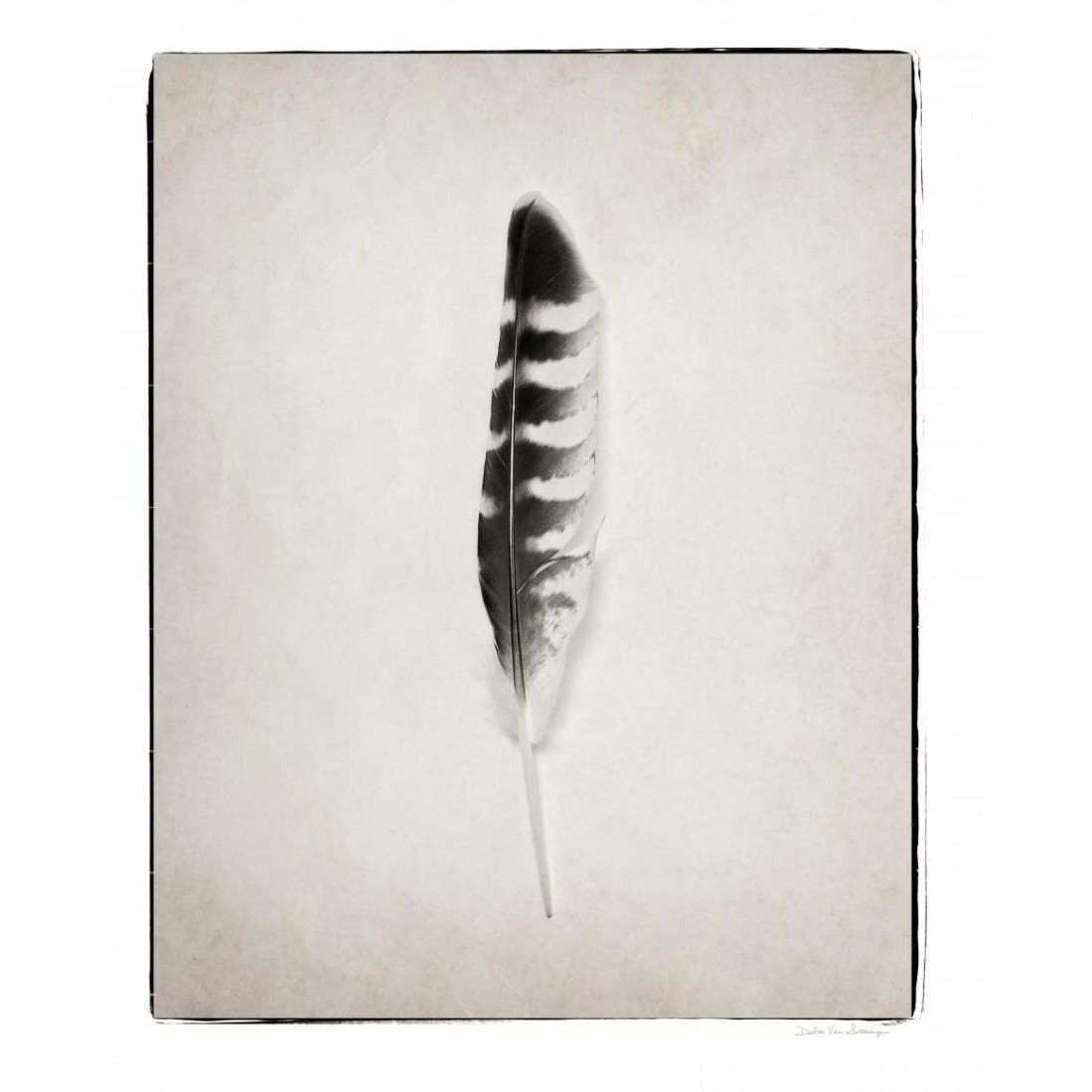 Feather IV - BW -Paper Art-30&quotx37"