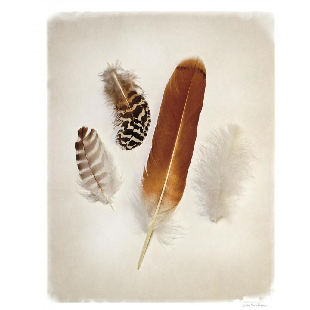 Feather Group I -Paper Art-18&quotx22"